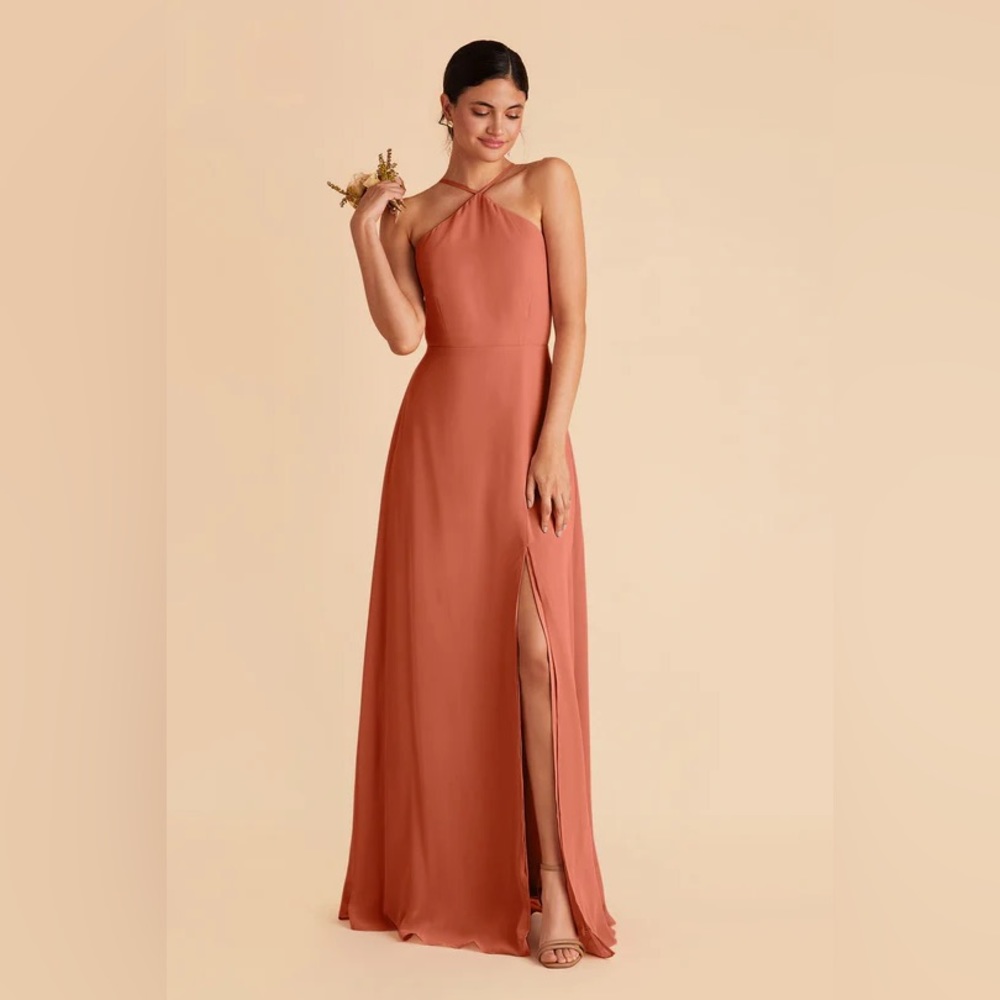 Birdy Grey Juliet Bridesmaid Dress in Terracotta. Size XS, Chiffon